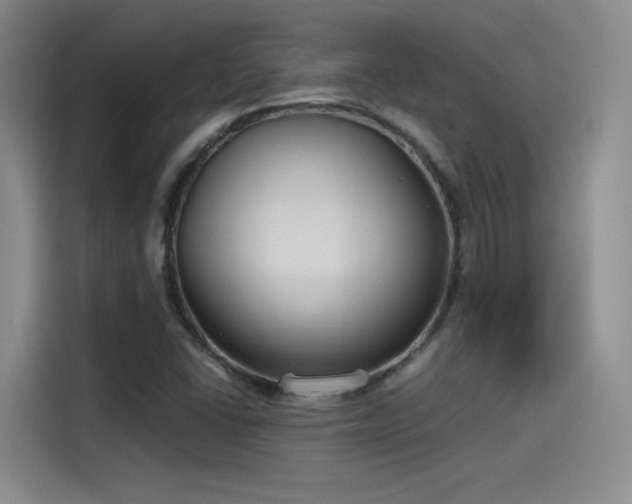 X0000115481406200911131206