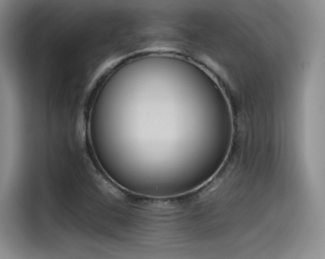 X0000115481408200911131206