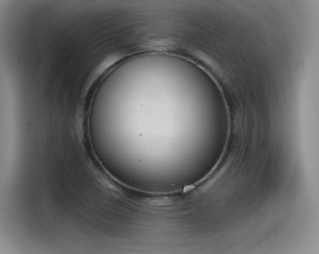 X0000115481410200911131206