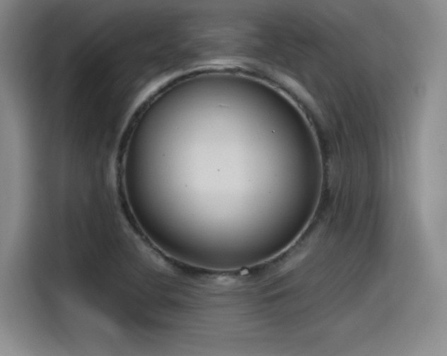 X0000115481412200911131206