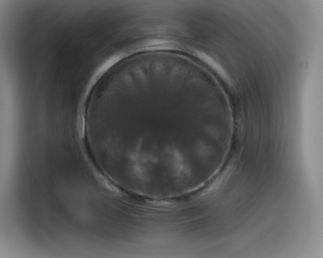 X0000115481413200911131206