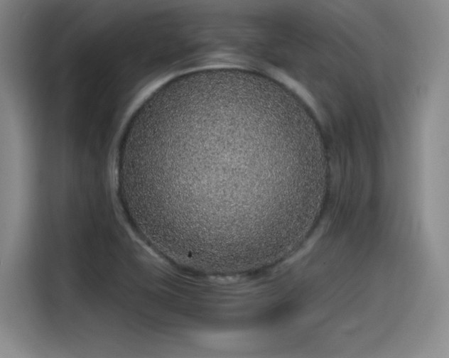 X0000115481415200911131206