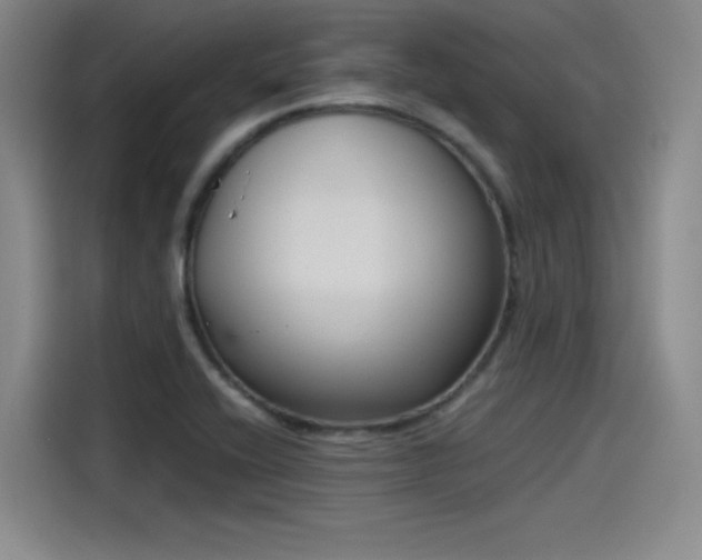 X0000115481416200911131206