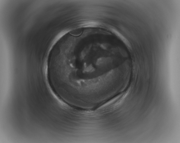 X0000115481418200911131206