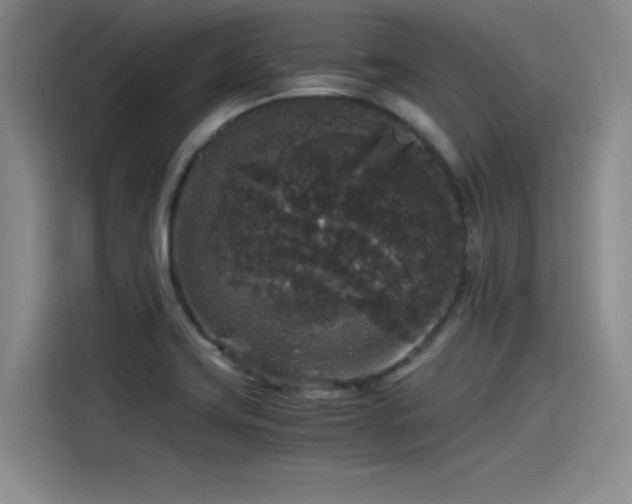 X0000115481419200911131206