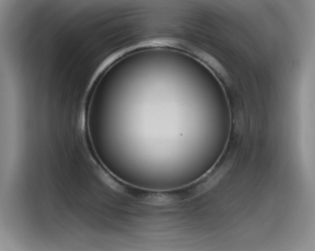 X0000115481420200911131206