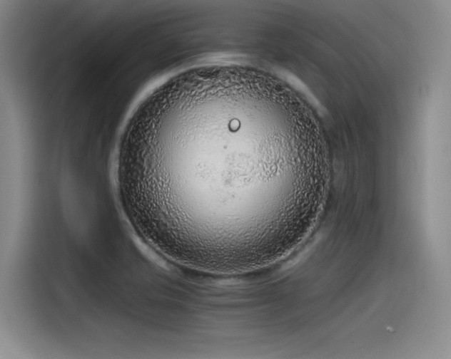 X0000115481421200911131206