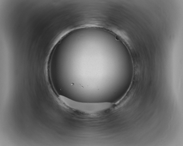 X0000115481423200911131206