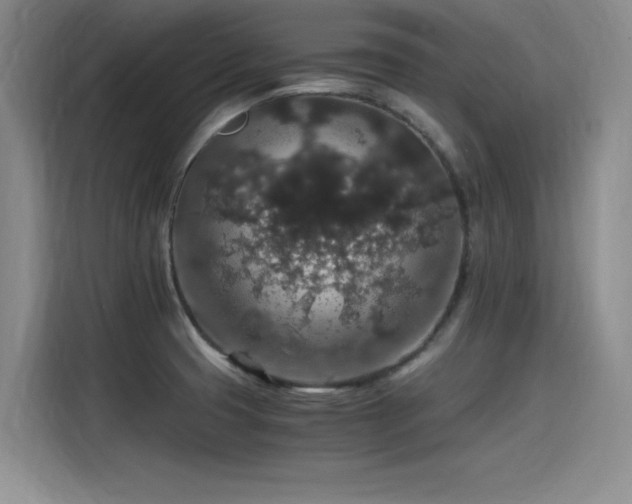 X0000115481425200911131206