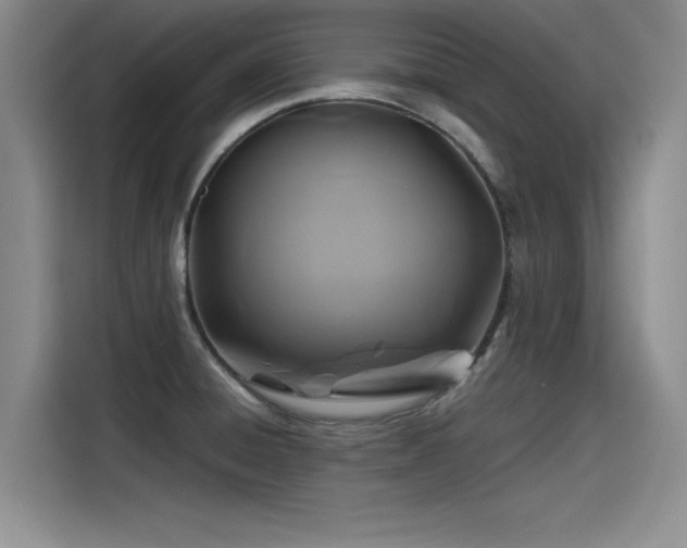 X0000115481428200911131206