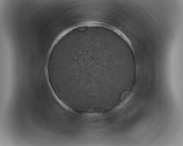 X0000115481429200911131206