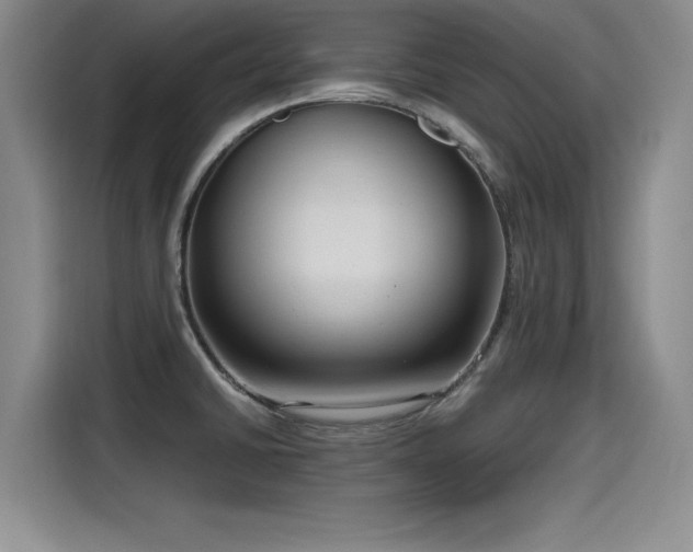 X0000115481430200911131206