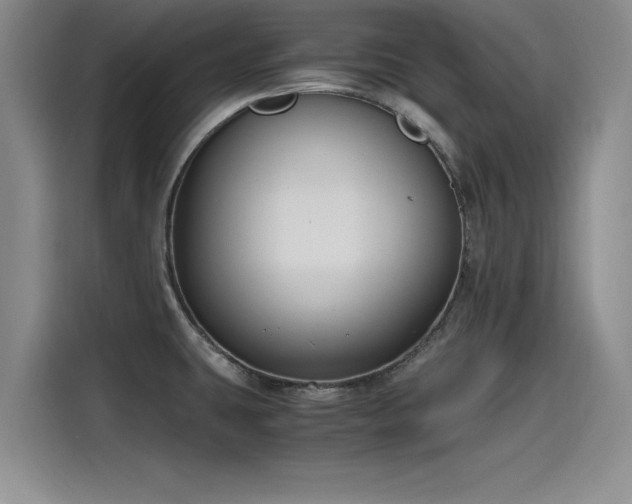 X0000115481431200911131206