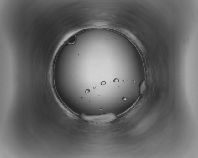 X0000115481432200911131206