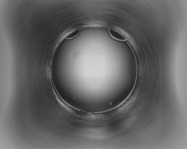 X0000115481433200911131206