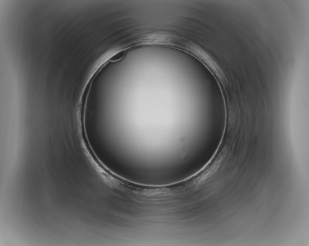 X0000115481434200911131206