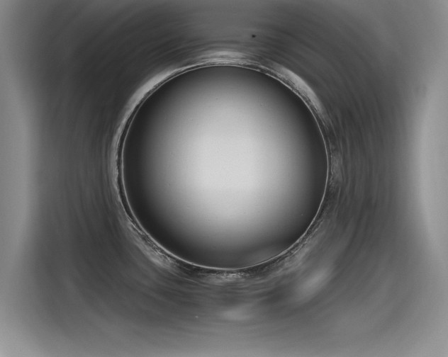 X0000115481435200911131206