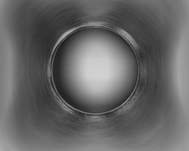 X0000115481436200911131206