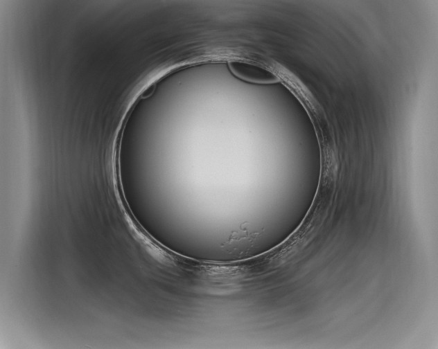 X0000115481439200911131206