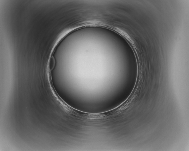 X0000115481440200911131206