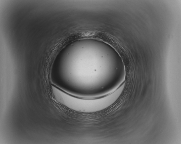 X0000115481441200911131206