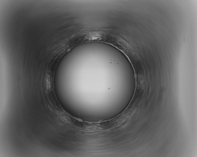 X0000115481442200911131205