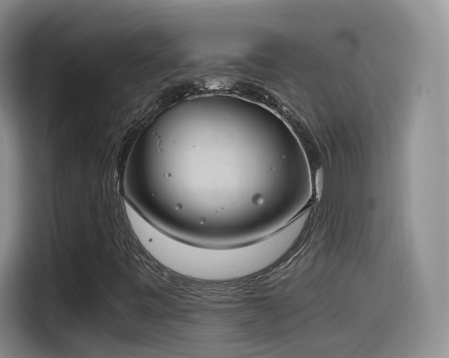 X0000115481443200911131205