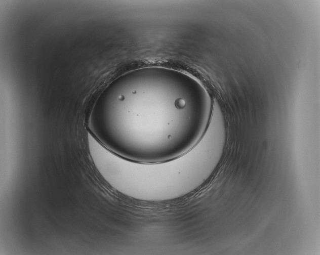 X0000115481444200911131205