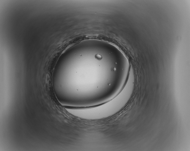 X0000115481445200911131205