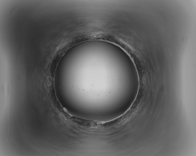 X0000115481447200911131205