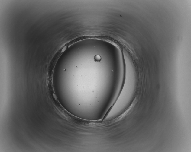 X0000115481449200911131205