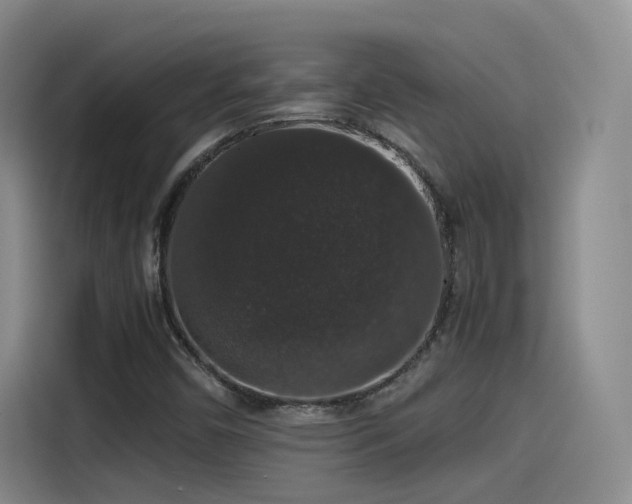 X0000115481450200911131205