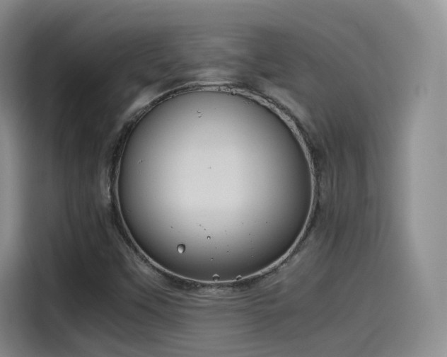 X0000115481451200911131205