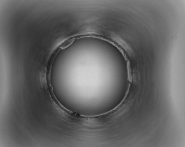 X0000115481452200911131205