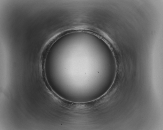 X0000115481456200911131205