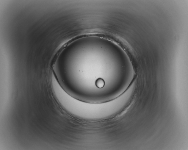 X0000115481457200911131205