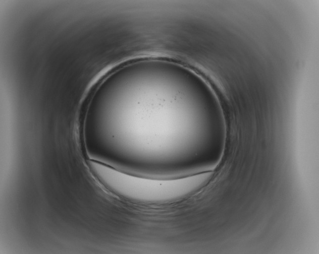 X0000115481460200911131205