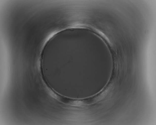 X0000115481463200911131205