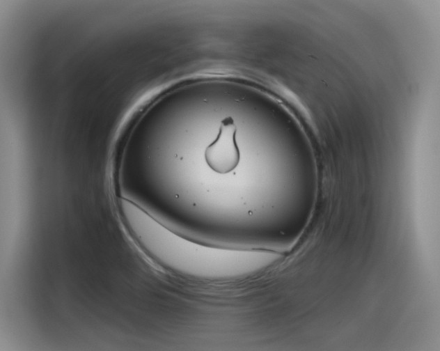 X0000115481464200911131205