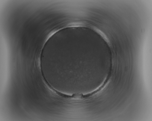 X0000115481465200911131205