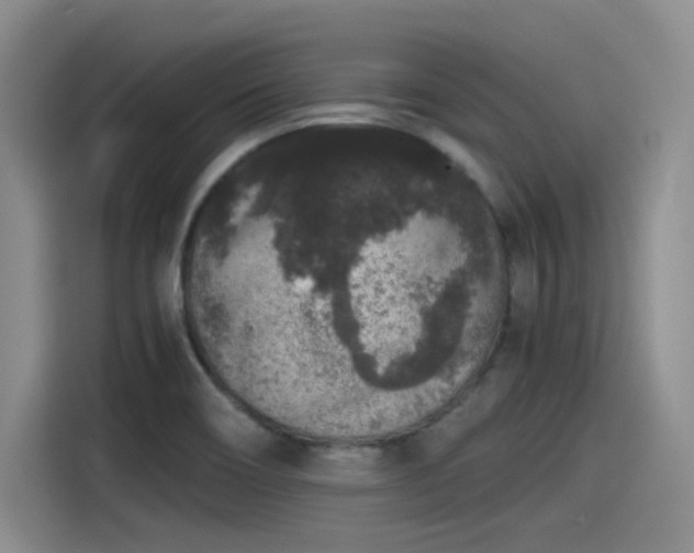 X0000115481466200911131205