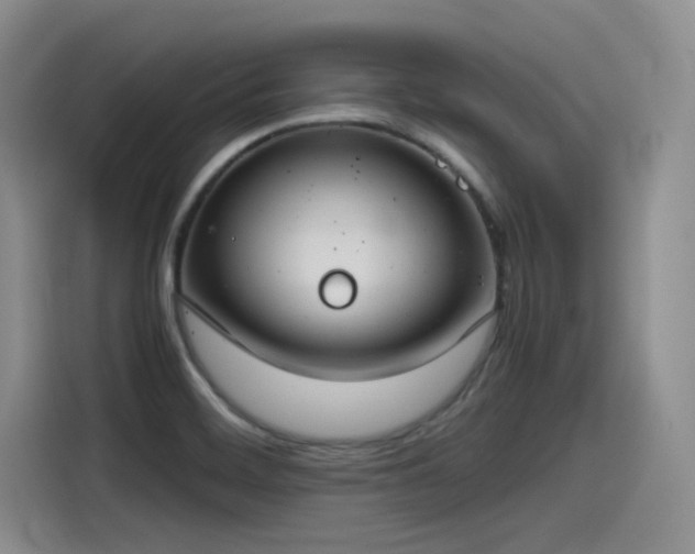 X0000115481468200911131205