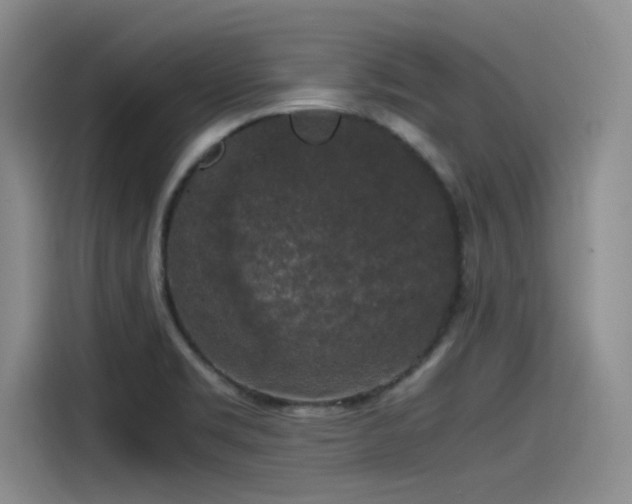 X0000115481469200911131205