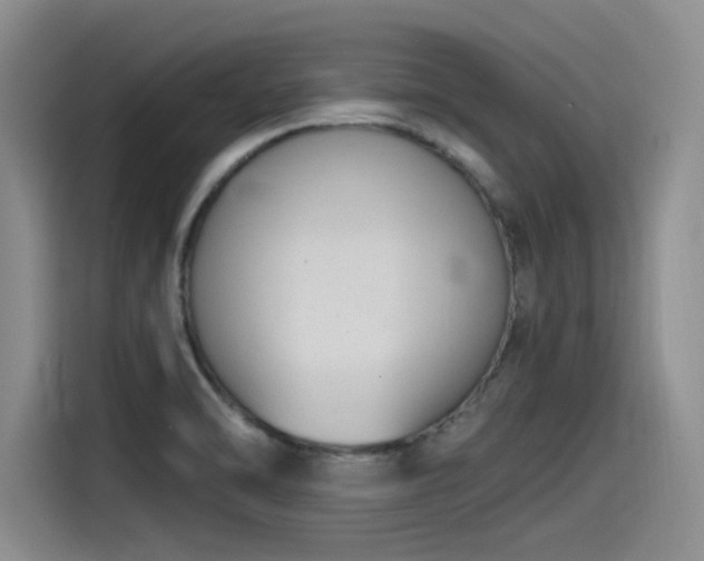 X0000115481470200911131205