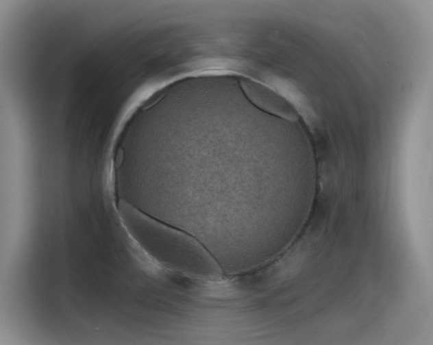 X0000115481472200911131205