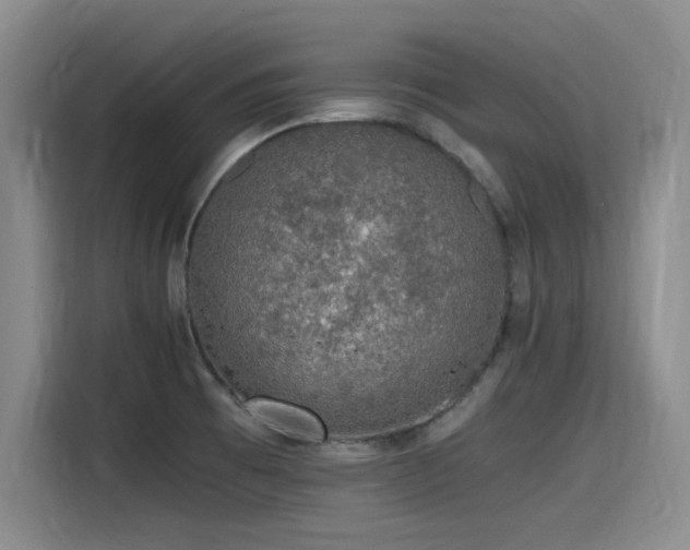 X0000115481473200911131205