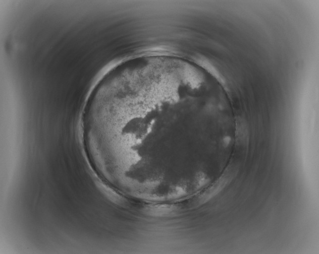 X0000115481474200911131205