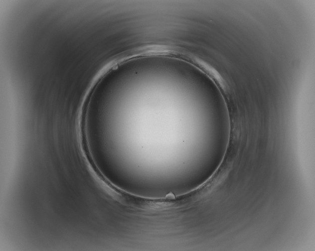 X0000115481475200911131205