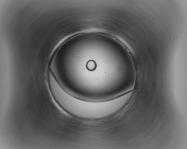 X0000115481476200911131205