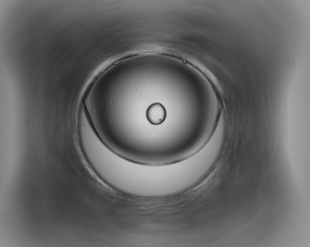 X0000115481477200911131205